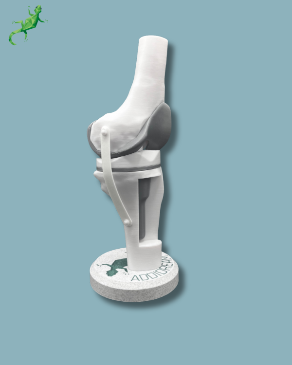 Display Knee Awareness Full with window - Ref 04-AB-01 - Image 10