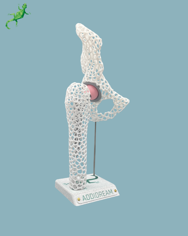 Présentoir Hanche Sensibilisation Lattice - Ref 07-AD-01 – Image 5