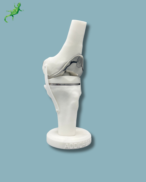 Présentoir Genou Premium Standard Plein - Ref 04-AG-01 – Image 6