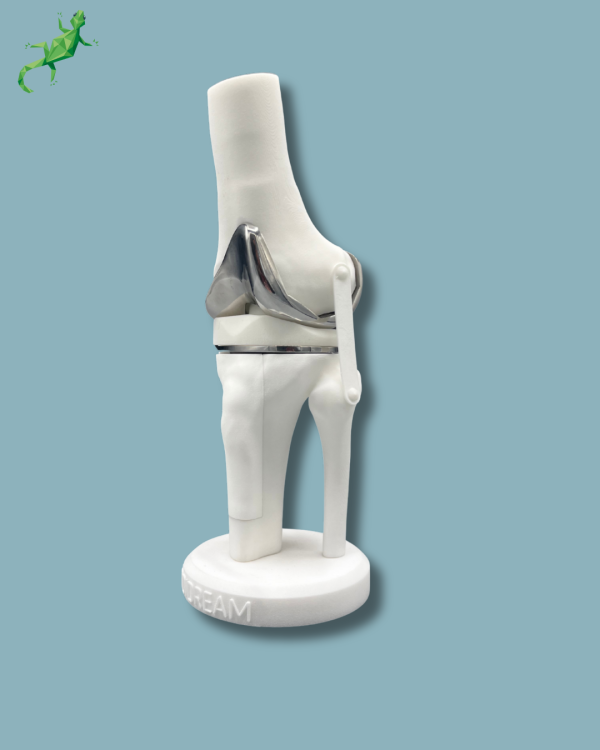 Présentoir Genou Premium Plein avec capot - Ref 04-AI-01 – Image 12