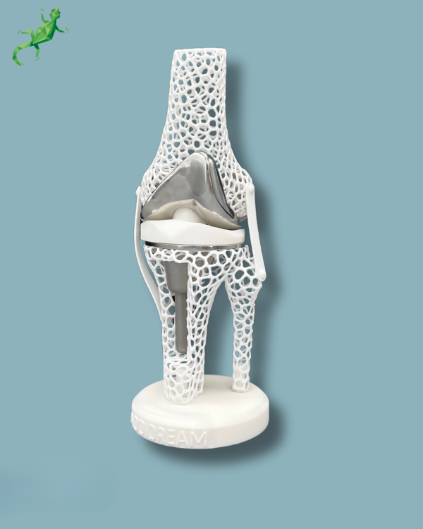 Présentoir Genou Premium Lattice avec ouverture - Ref 04-AK-01 – Image 3
