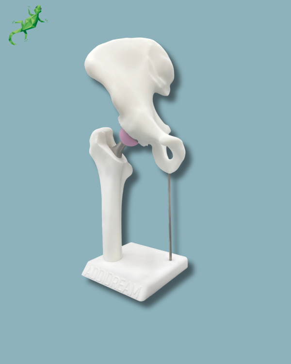 Présentoir Hanche Premium Plein avec capot - Ref 07-AI-01 – Image 11
