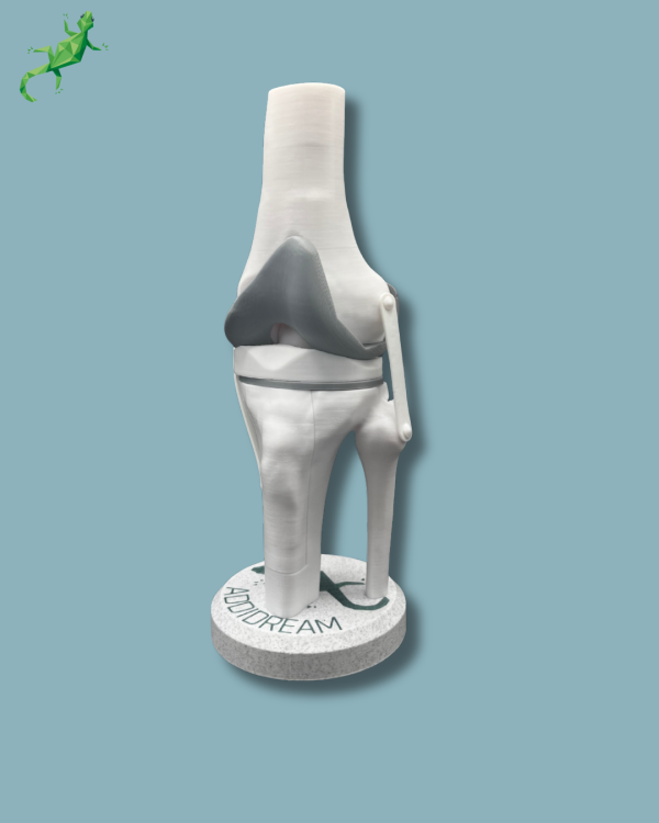Display Knee Awareness Full with cover - Ref 04-AC-01 - Image 3