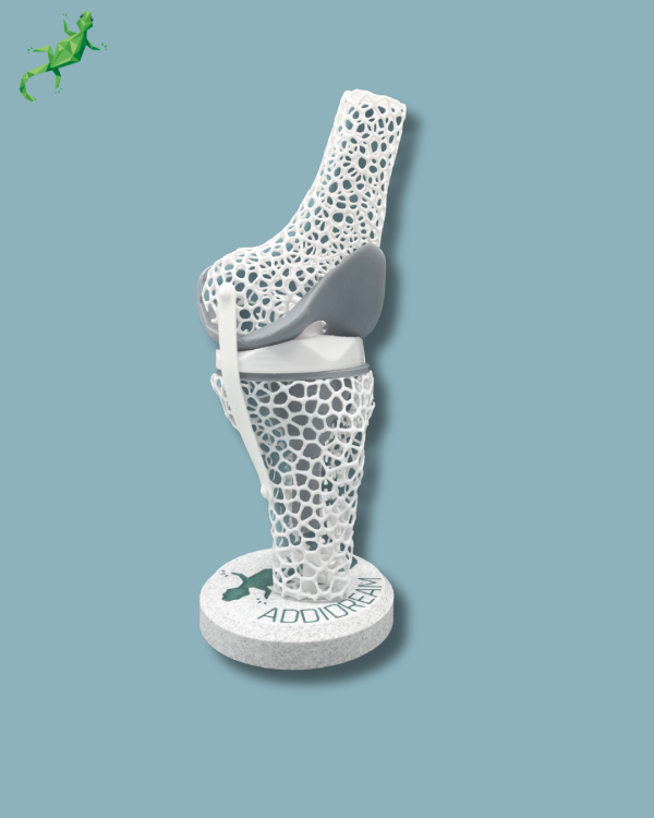 Présentoir Genou Sensibilisation Lattice - Ref 04-AD-01 – Image 6