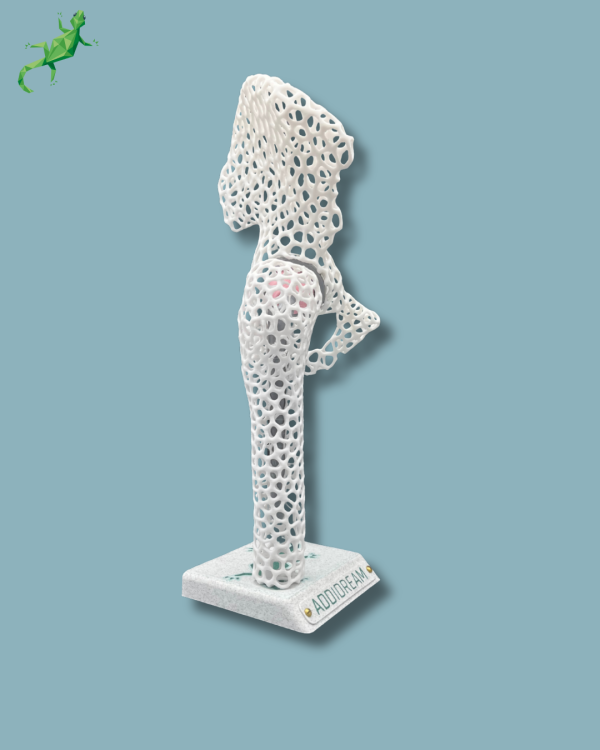 Présentoir Hanche Sensibilisation Lattice - Ref 07-AD-01 – Image 4