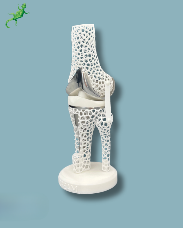 Présentoir Genou Premium Lattice avec ouverture - Ref 04-AK-01 – Image 2