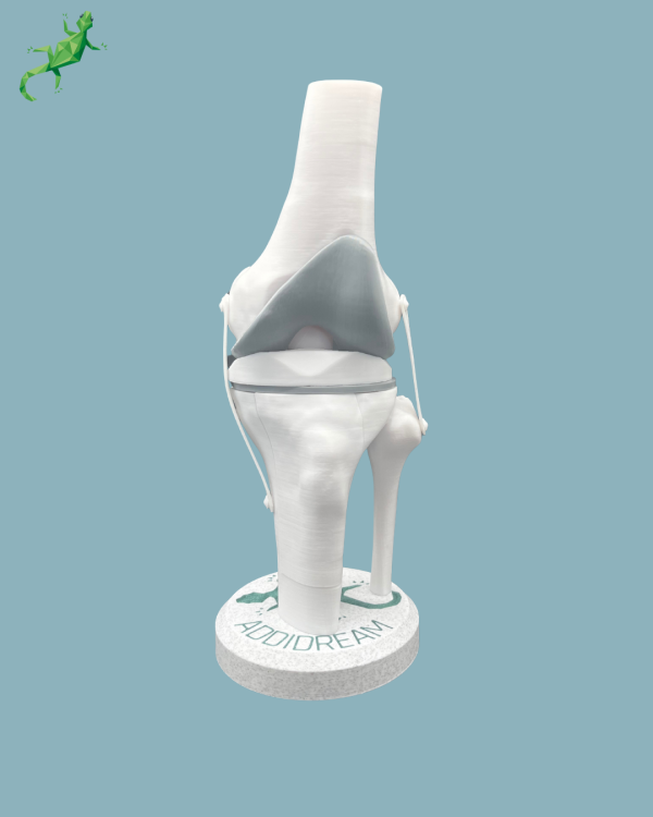 Display Knee Awareness Full with cover - Ref 04-AC-01 - Image 2