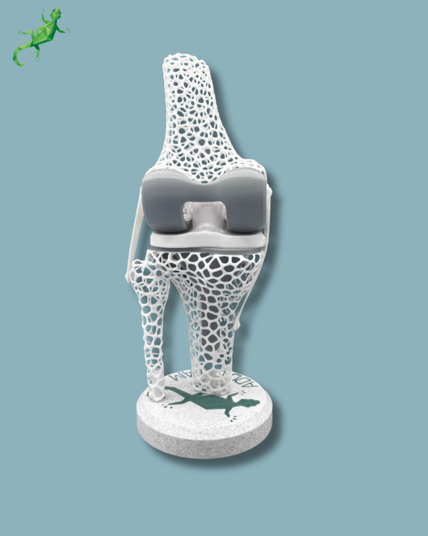 Display Knee Awareness Lattice - Ref 04-AD-01 - Image 5
