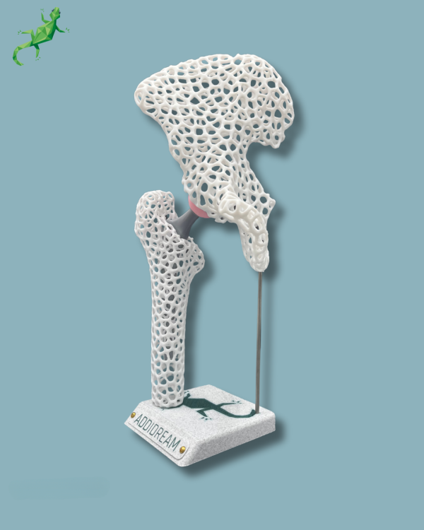 Présentoir Hanche Sensibilisation Lattice - Ref 07-AD-01 – Image 3