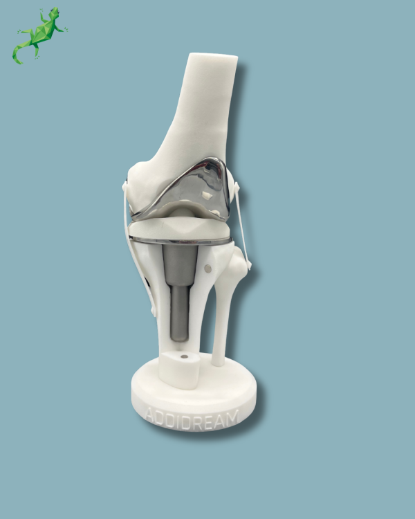 Display Knee Premium Full with cover - Ref 04-AI-01 - Image 9