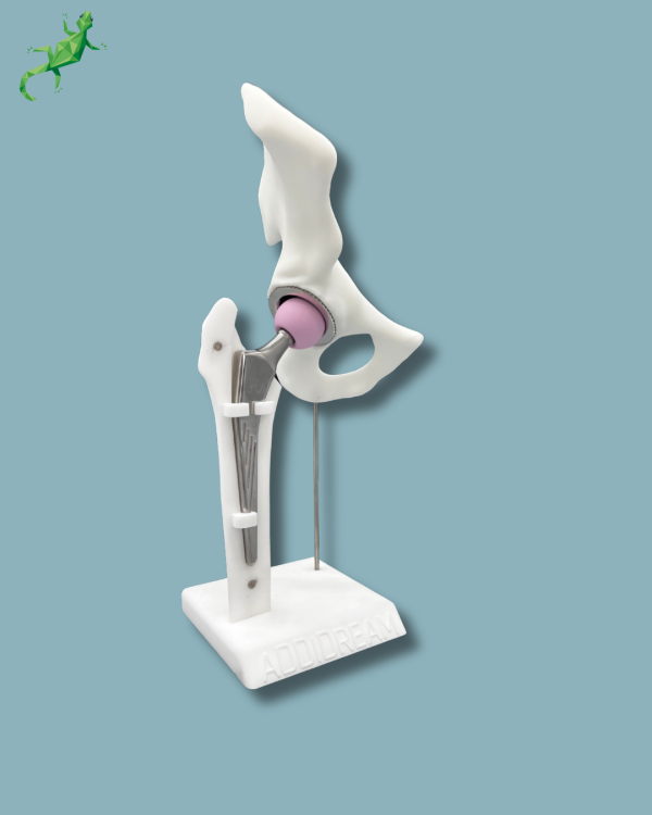 Présentoir Hanche Premium Plein avec capot - Ref 07-AI-01 – Image 3