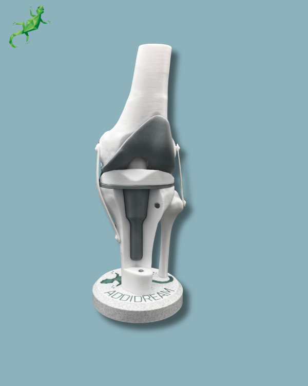 Display Knee Awareness Full with cover - Ref 04-AC-01 - Image 10