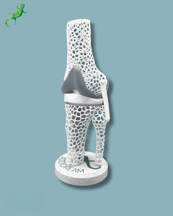Présentoir Genou Sensibilisation Lattice - Ref 04-AD-01 – Image 4