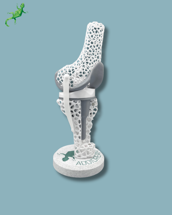 Display Knee Awareness Lattice with cover - Ref 04-AF-01 - Image 4