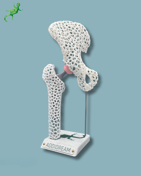 Présentoir Hanche Sensibilisation Lattice - Ref 07-AD-01 – Image 2