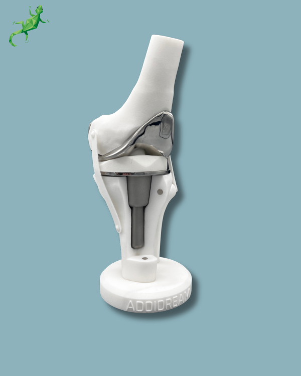 Présentoir Genou Premium Plein avec capot - Ref 04-AI-01 – Image 3