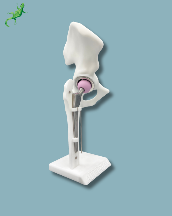 Display Hip Premium Full with cover - Ref 07-AI-01 - Image 7