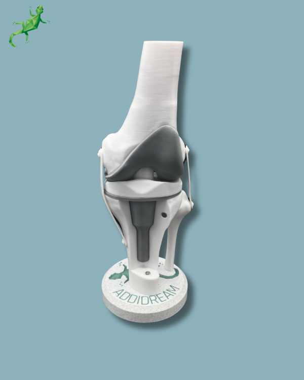 Présentoir Genou Sensibilisation Plein avec capot - Ref 04-AC-01 – Image 9
