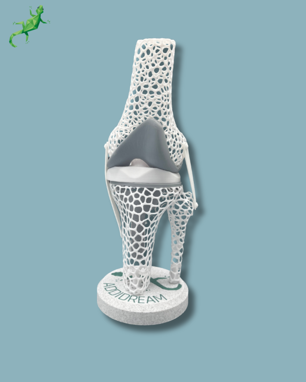 Display Knee Awareness Lattice - Ref 04-AD-01 - Image 3