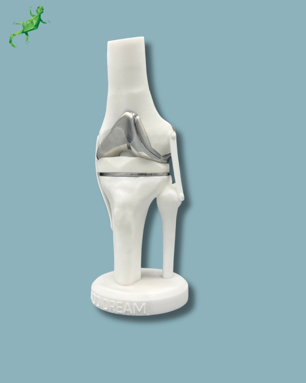 Display Knee Premium Full - Ref 04-AG-01 - Image 2