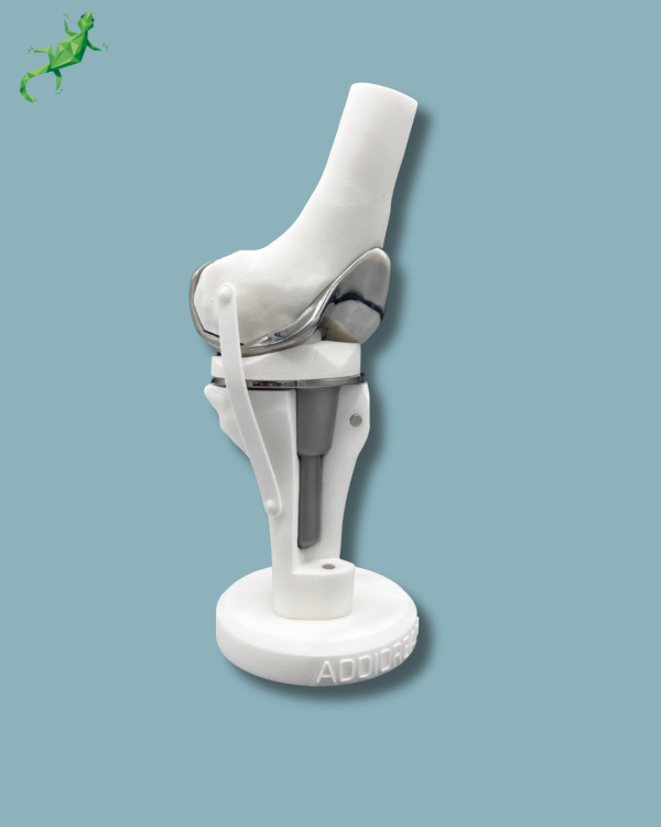 Display Knee Premium Full with cover - Ref 04-AI-01 - Image 7