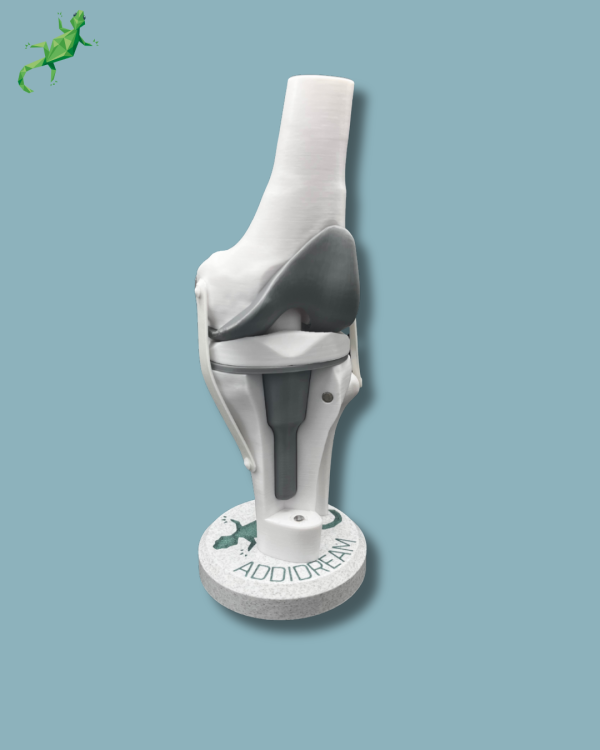 Display Knee Awareness Full with cover - Ref 04-AC-01 - Image 9