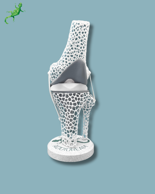 Présentoir Genou Sensibilisation Lattice - Ref 04-AD-01 – Image 2