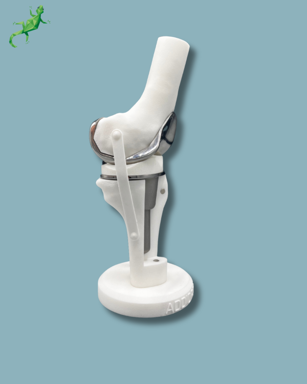 Display Knee Premium Full with cover - Ref 04-AI-01 - Image 6