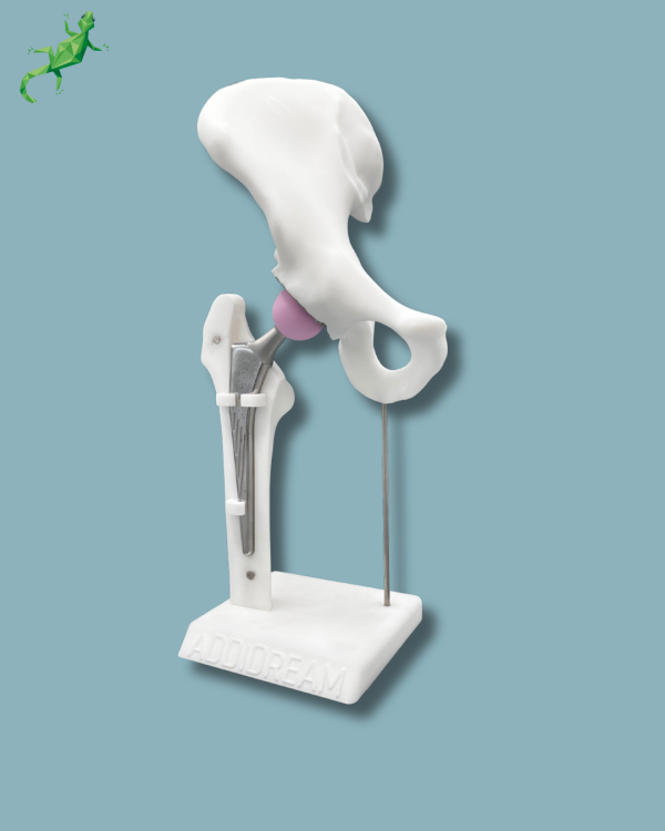 Display Hip Premium Full with cover - Ref 07-AI-01 - Image 3