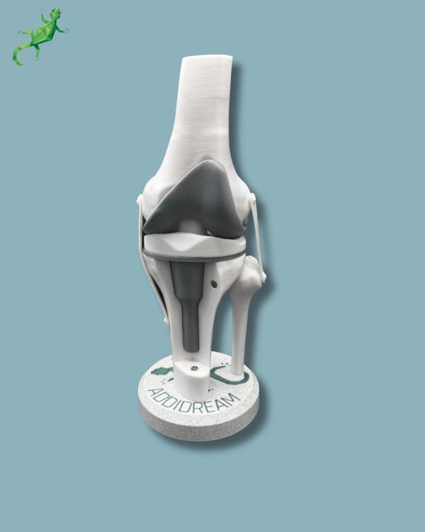 Display Knee Awareness Full with cover - Ref 04-AC-01 - Image 8