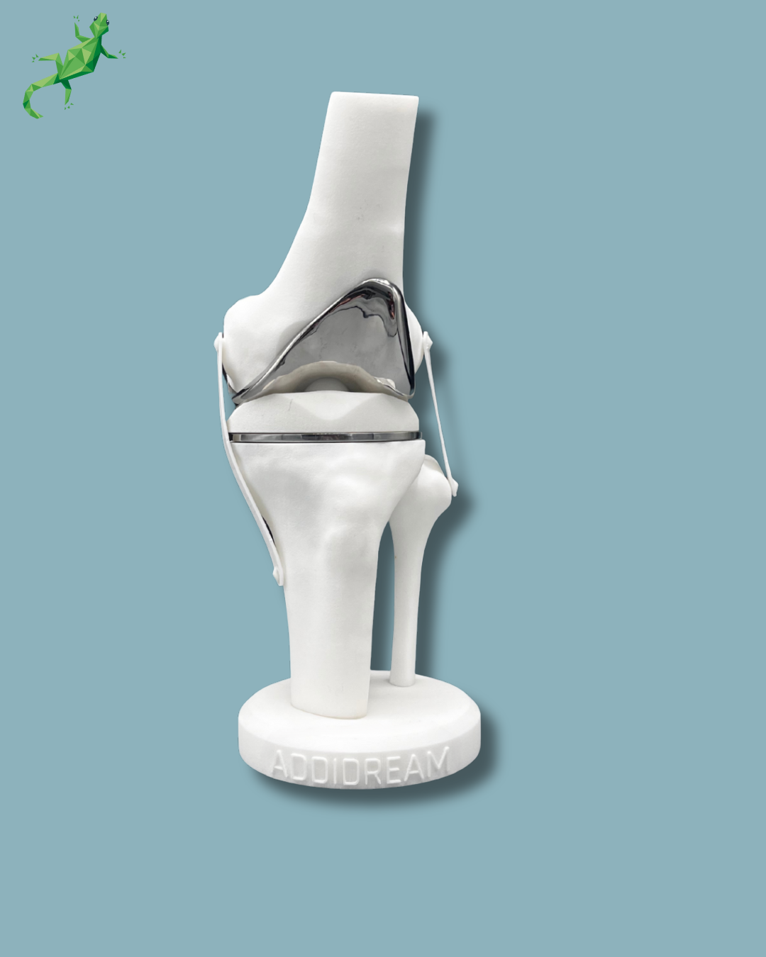 Présentoir Genou Premium Standard Plein – Ref 04-AG-01