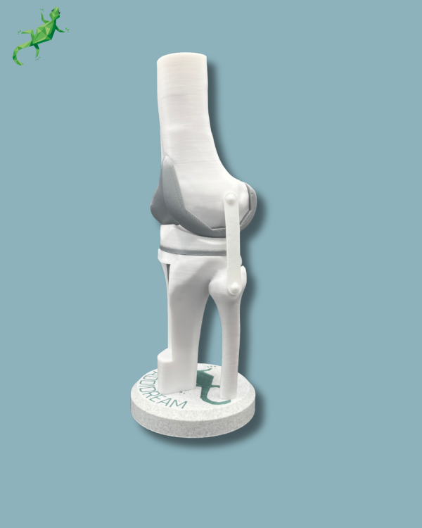 Display Knee Awareness Full with window - Ref 04-AB-01 - Image 4