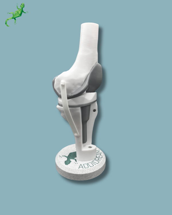 Display Knee Awareness Full with cover - Ref 04-AC-01 - Image 7
