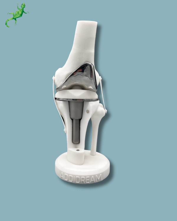 Display Knee Premium Full with cover - Ref 04-AI-01 - Image 5