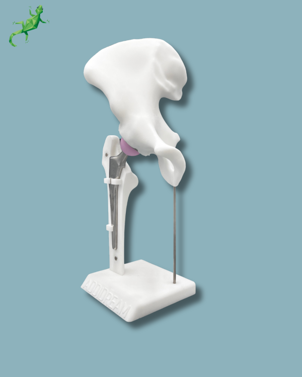 Display Hip Premium Full with cover - Ref 07-AI-01 - Image 4