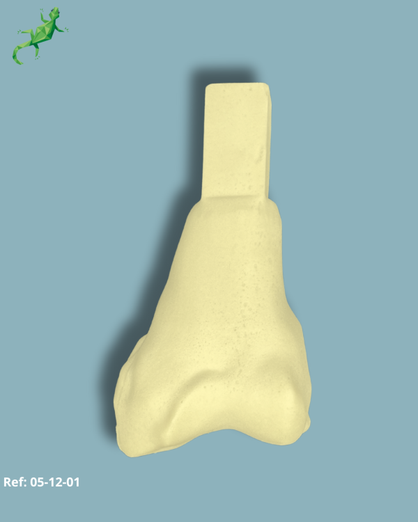 Femur distal / Addi-CAN Addi-CLAMP  - Ref 05-12-01 – Image 2