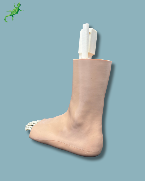 Pied Cheville et Demi-Tibia Fibula avec fracture / Gauche / Addi-CAN Addi-SKIN - Ref 02-29-02 – Image 6