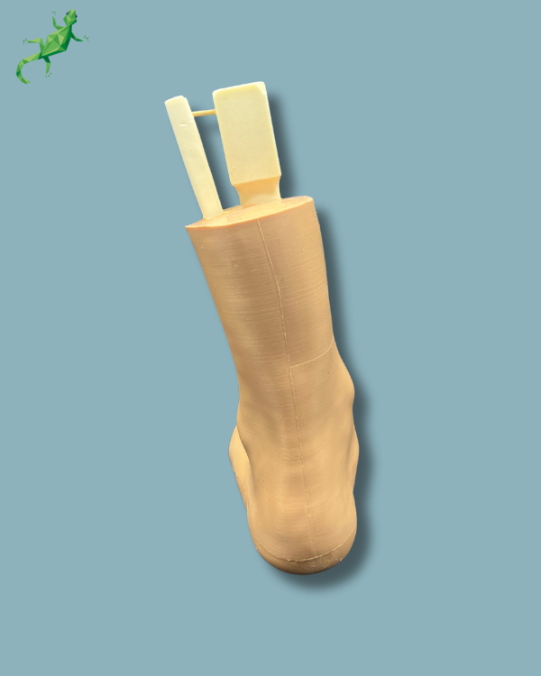 Foot-Ankle and Mid-Tibia Fibula with fracture / Left / Addi-CAN Addi-SKIN - Ref 02-29-02 - Image 5