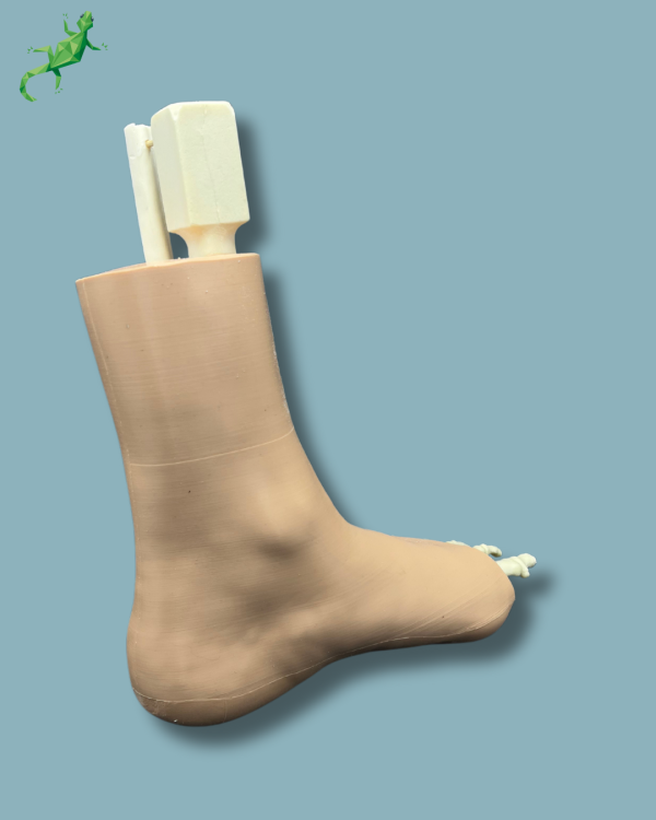 Foot-Ankle and Mid-Tibia Fibula with fracture / Left / Addi-CAN Addi-SKIN - Ref 02-29-02 - Image 4