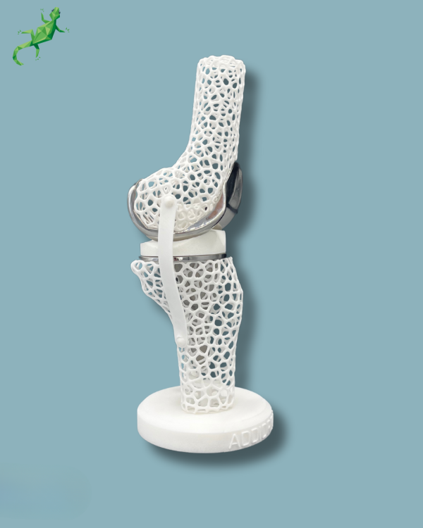 Présentoir Genou Premium Lattice Standard - Ref 04-AJ-01 – Image 8