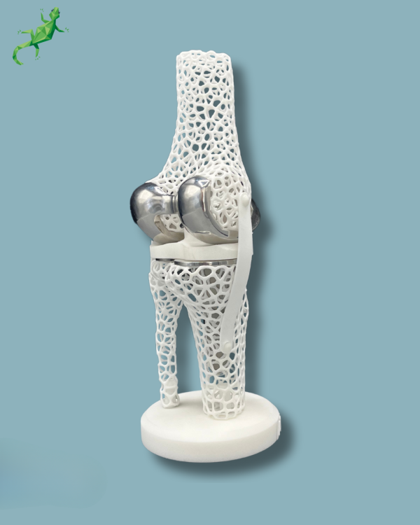 Display Knee Premium Lattice - Ref 04-AJ-01 - Image 7