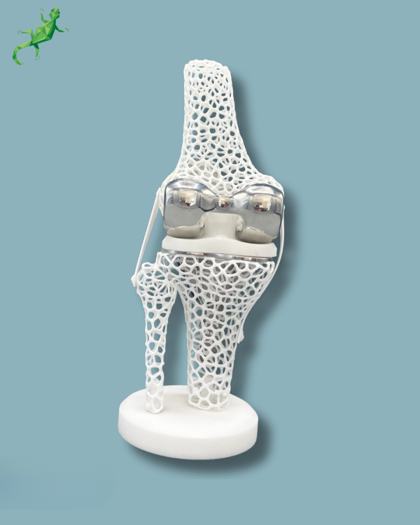 Présentoir Genou Premium Lattice Standard - Ref 04-AJ-01 – Image 6
