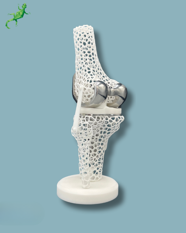 Display Knee Premium Lattice - Ref 04-AJ-01 - Image 5