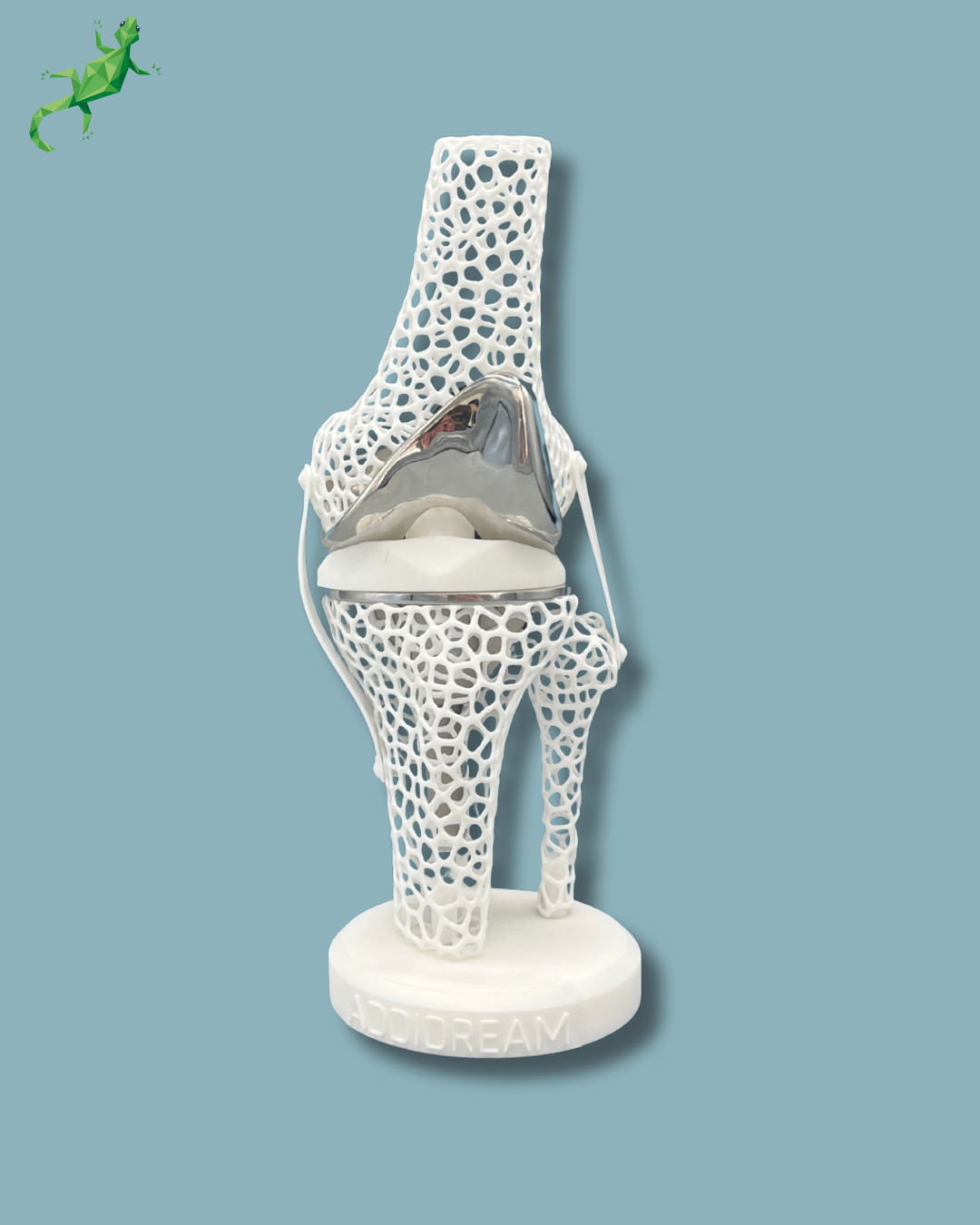 Présentoir Genou Premium Lattice Standard – Ref 04-AJ-01