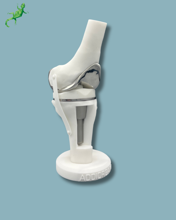 Display Knee Premium Full with window - Ref 04-AH-01 - Image 2
