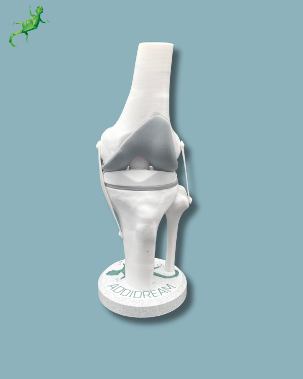 Display Knee Awareness Full - Ref 04-AA-01 - Image 11