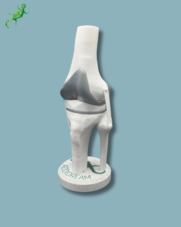 Display Knee Awareness Full - Ref 04-AA-01 - Image 2