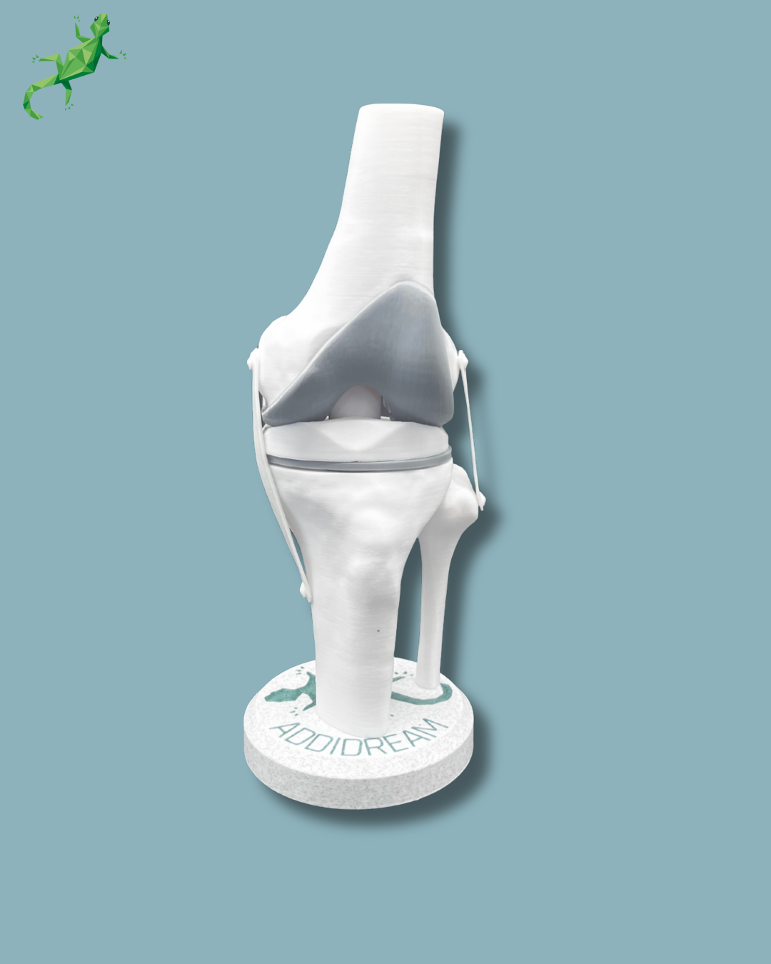 Display Knee Awareness Full – Ref 04-AA-01
