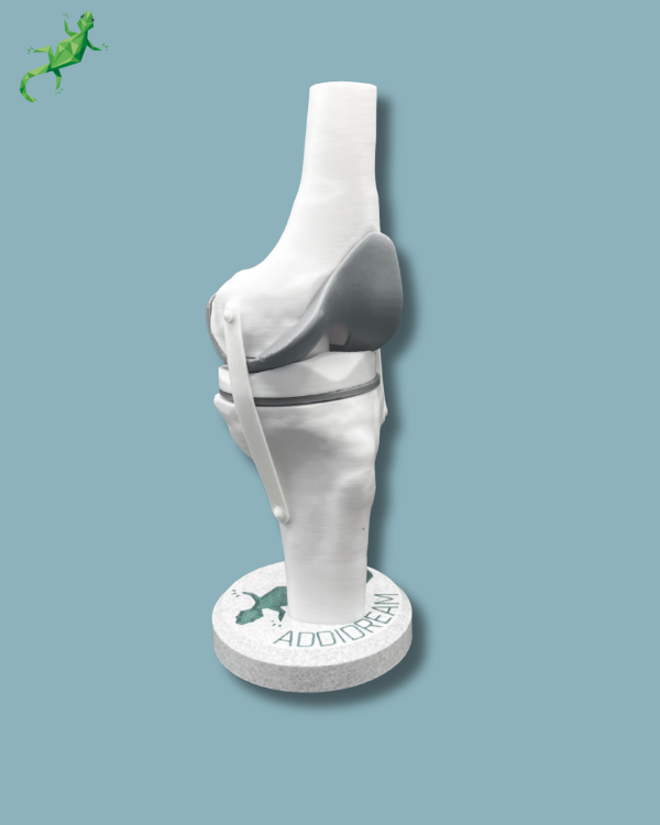 Display Knee Awareness Full - Ref 04-AA-01 - Image 10