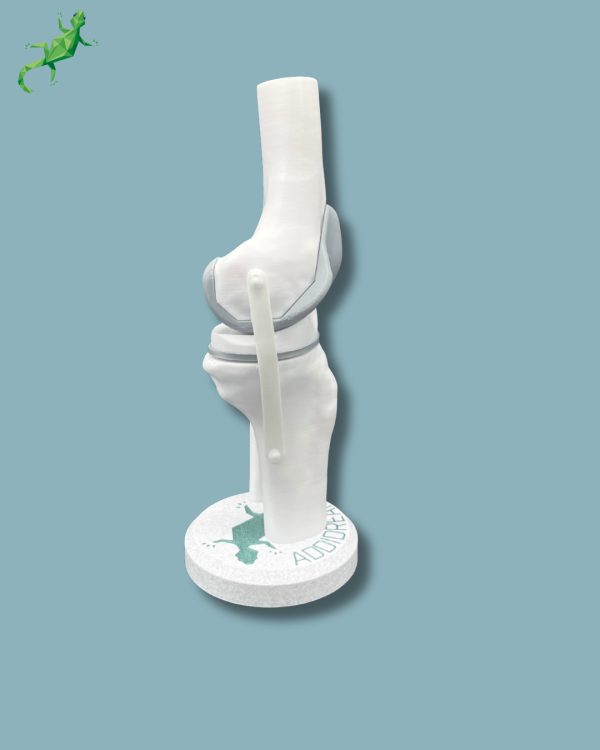 Display Knee Awareness Full - Ref 04-AA-01 - Image 9